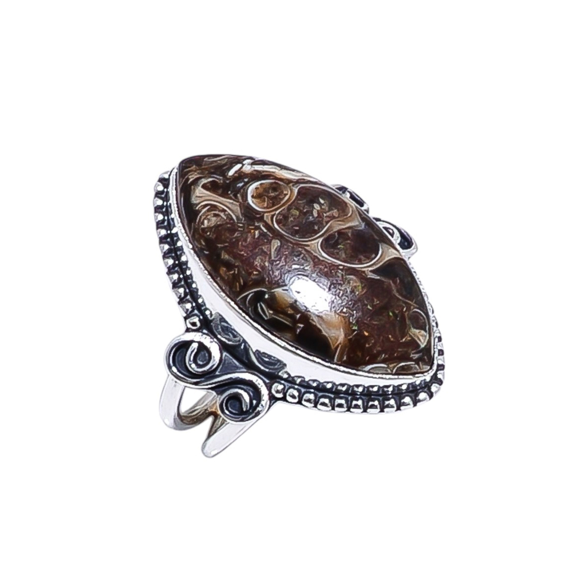 Turritella Agate - Wyoming Gemstone 925 Sterling Silver Ring